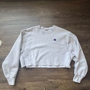 Champion Women's Light Gray Cropped Hoodie XL